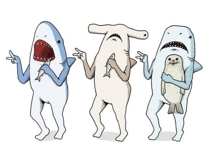 Chọn ảnh đại diện 3 người dễ thương gây ấn tượng ngay