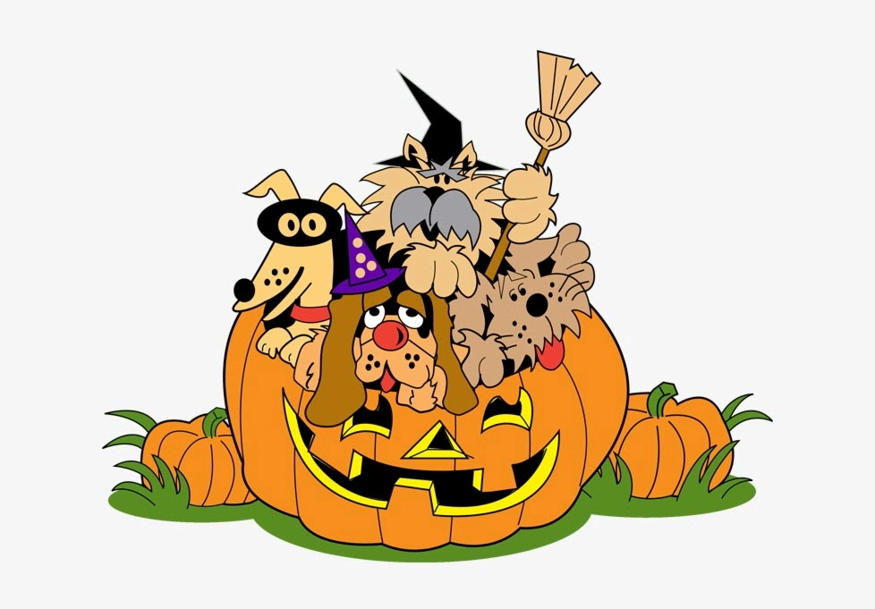 Chọn ảnh Halloween cute dễ thương cho bạn bè