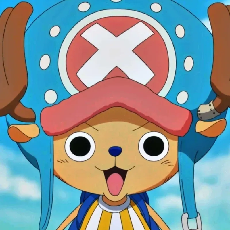 Bộ đôi vui nhộn tony tony chopper and robin