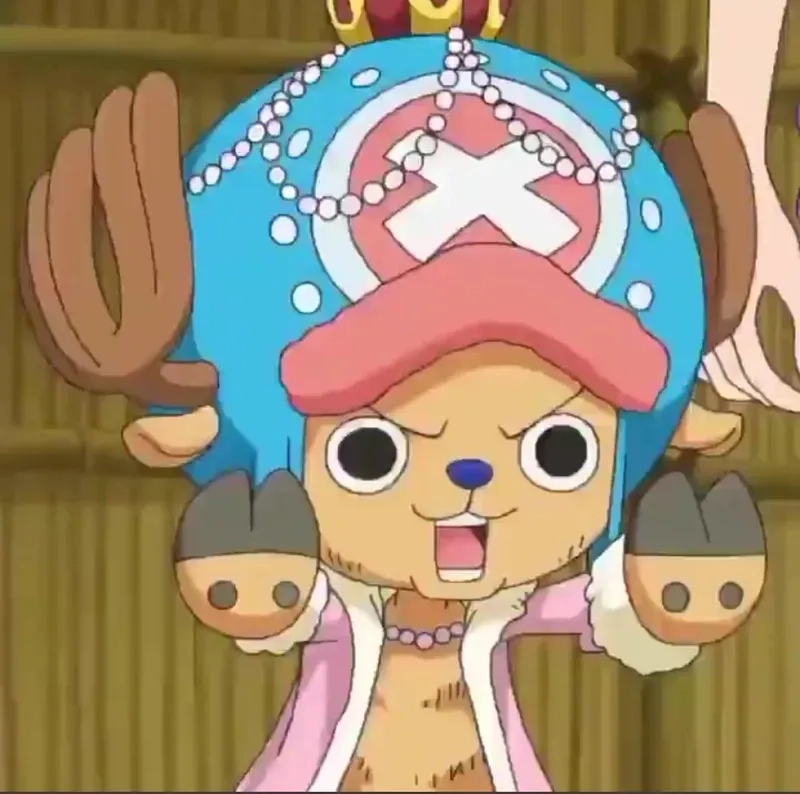 Chiêm ngưỡng anh hùng anime anime heroes tony tony chopper