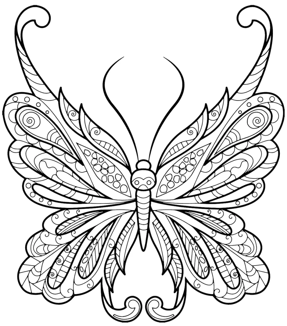 Trang trí sinh động với tranh tô màu con bướm hoa