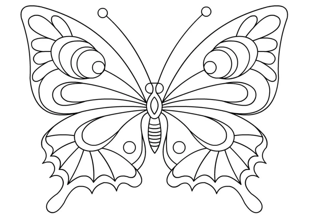 Khám phá sự tự do với tranh tô màu con bướm bay
