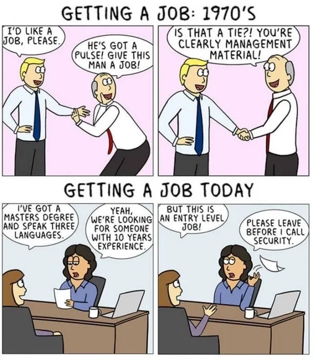 Học cách get paid to make memes và kiếm tiền với meme jobs