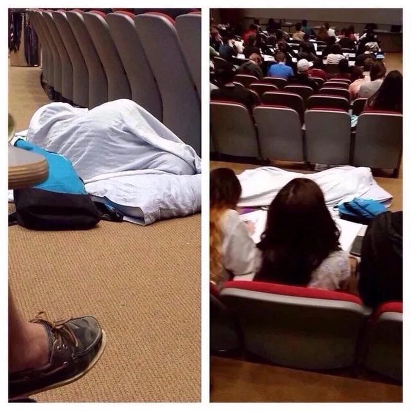 Giáo sư cũng không thoát khỏi professor memes ở meme university