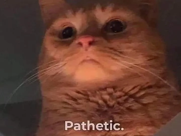 Xem ngay pathetic gif hài hước cho ngày vui vẻ