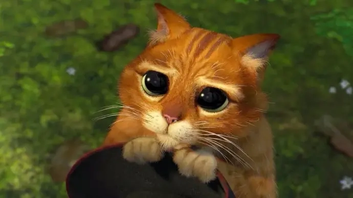 Pretty please meme khiến bạn không thể nhịn cười với hình ảnh hài hước vui nhộn