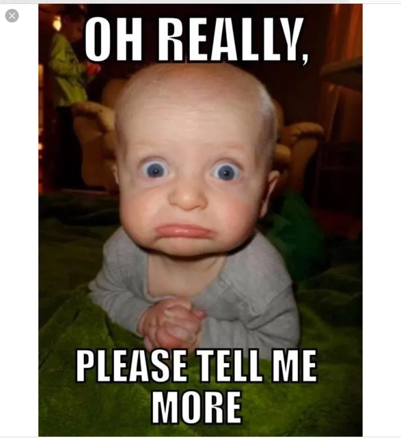 Hình Kevin hart please meme gây bão mạng với biểu cảm đáng yêu khó đỡ