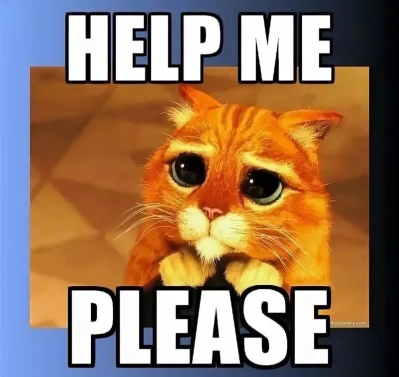 Xem ngay begging please meme để thấy cảnh cầu xin hài hước cực kỳ