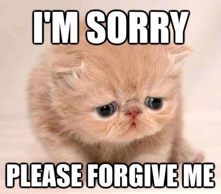 Tận hưởng trọn vẹn biểu cảm hài hước trong pretty please meme