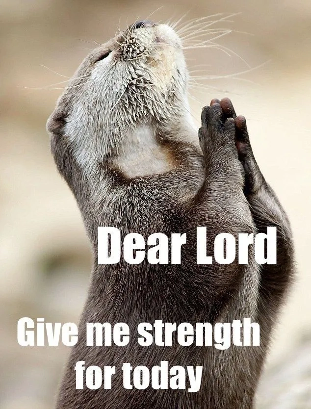 Man praying meme khiến bạn muốn chia sẻ ngay