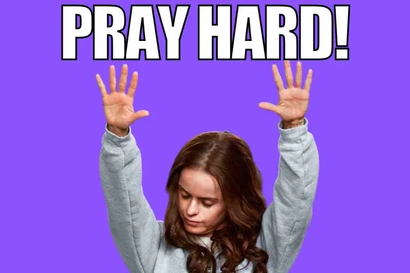 Cat praying meme dễ thương khiến ai cũng thích