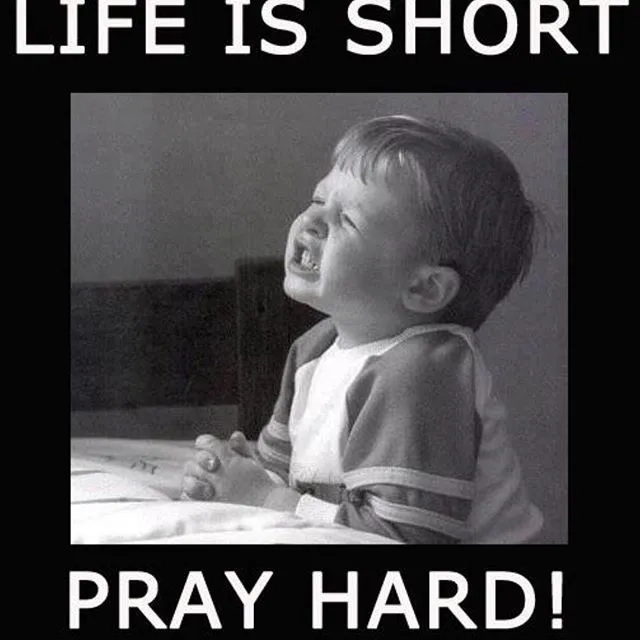 Praying hands emoji meme đáng yêu cho mọi câu chuyện