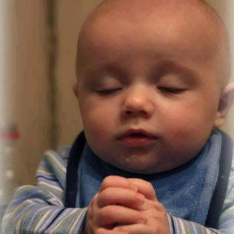 Please god meme tạo tiếng cười bất ngờ cho mọi người