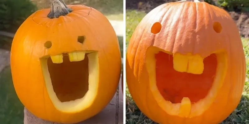  Khám phá bộ sưu tập ảnh pumpkin meme hài hước cực chất 