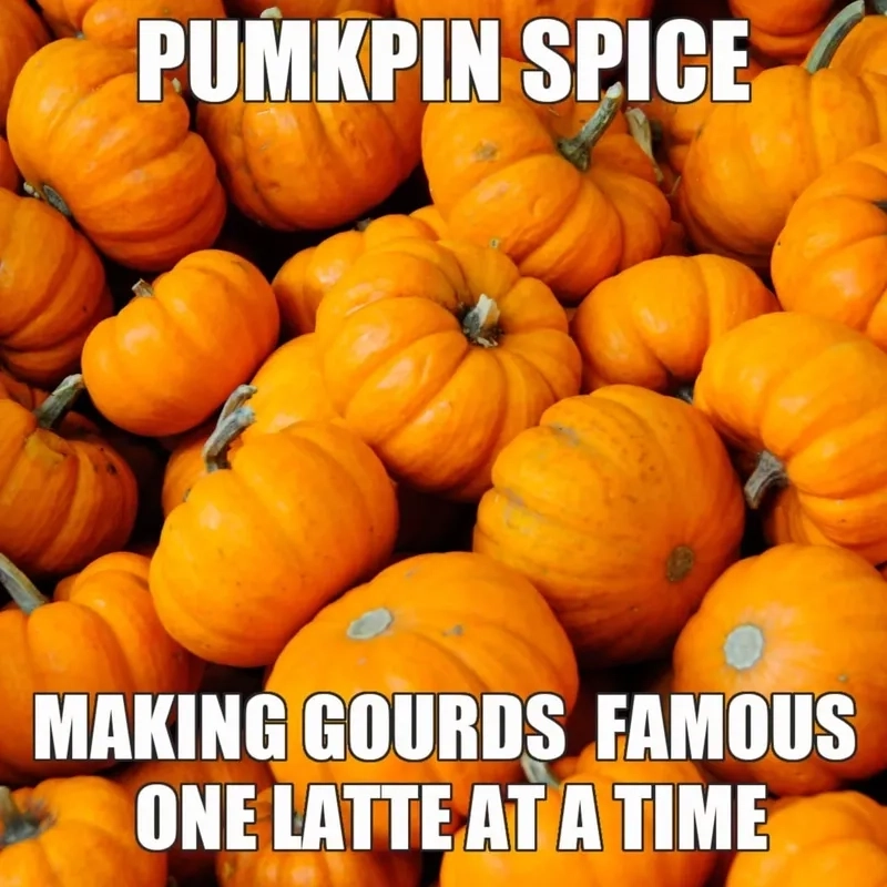 Xem ngay điệu nhảy vui nhộn dancing pumpkin meme
