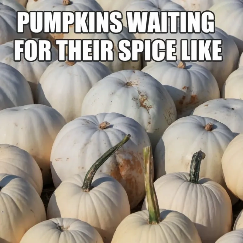 Tạo hình kỳ quái Halloween với jack o lantern meme