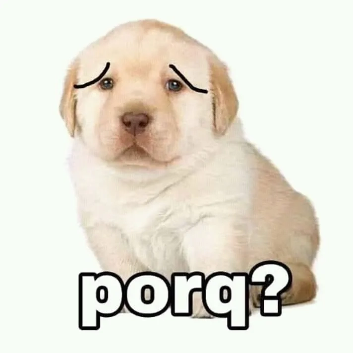 Xem ngay những muốn cười với quieres meme và quieres gif