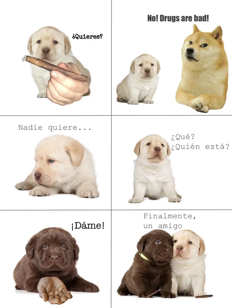 Thử sức sáng tạo với quieres meme và quieres hand meme
