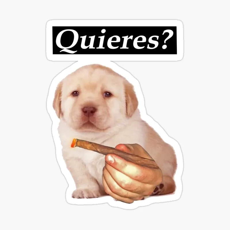 Tìm hiểu sâu ý nghĩa thú vị của quieres meme và quieres meaning