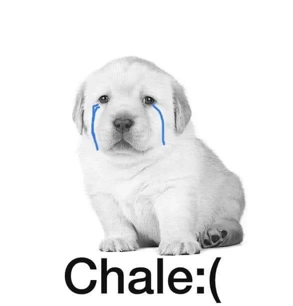 Cười vui nhộn với quiere meme cùng những quieres monkey meme