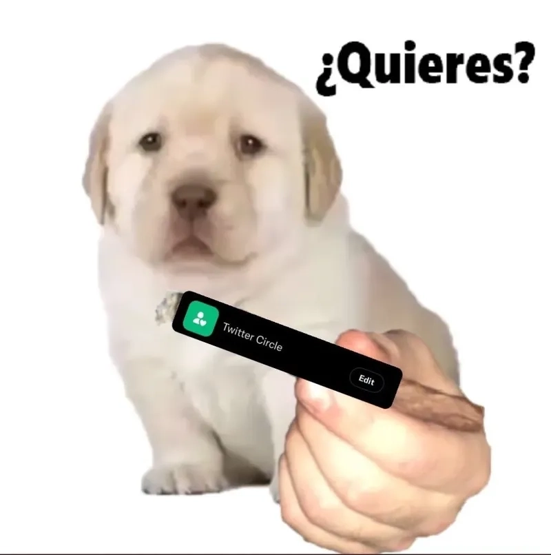 Hình ảnh hài hước với quieres meme và quieres pufferfish meme