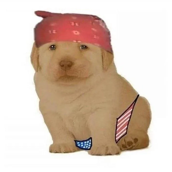 Cập nhật memes trending cùng quieres meme trên quieres tiktok