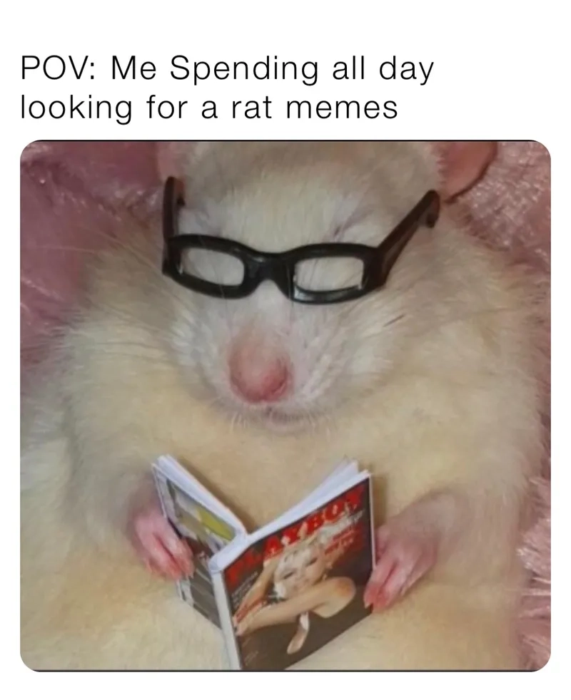 Khám phá pizza rat meme chuột mang pizza nổi tiếng