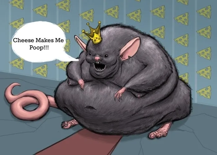  Tổng hợp những ảnh rat meme khiến bạn cười không ngừng 