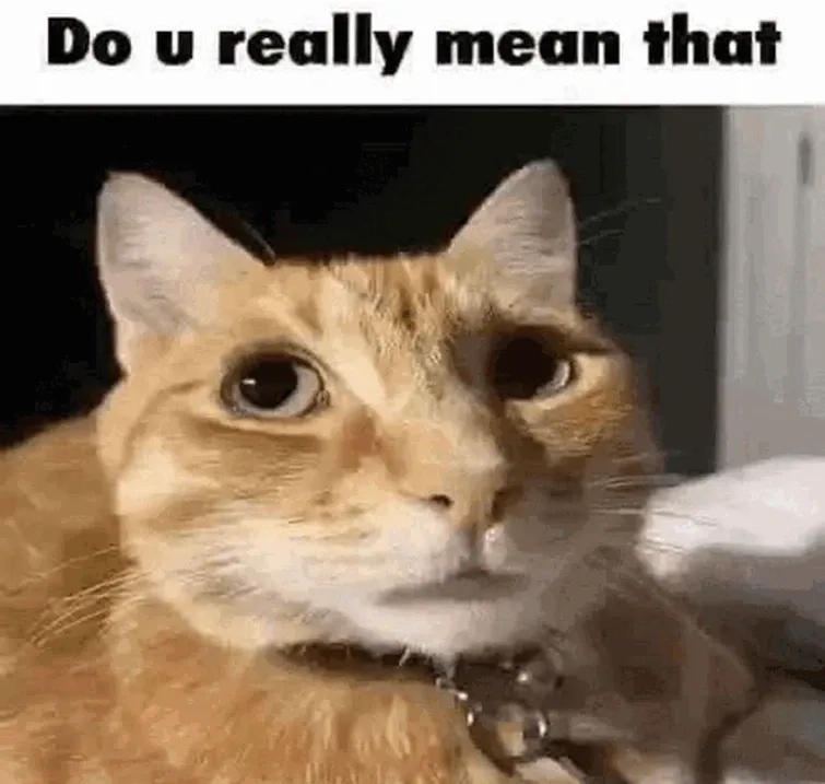 Cười thả ga cùng really meme và guy saying really meme vui