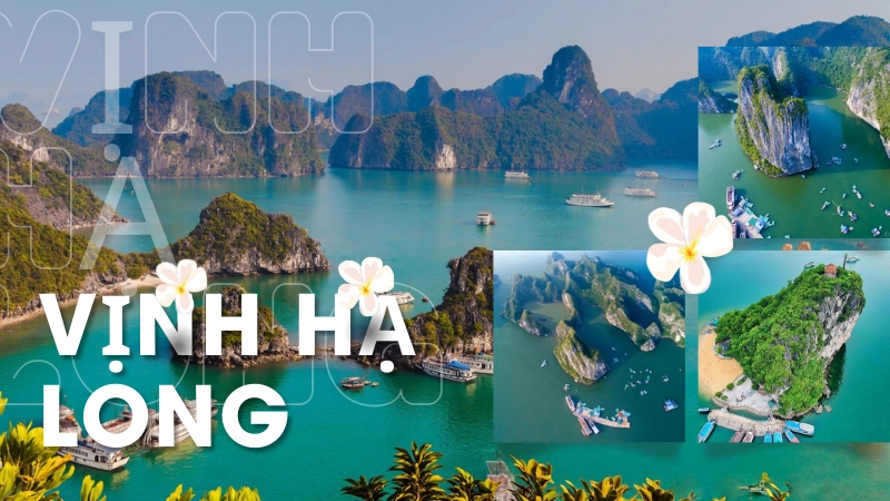  Khám phá 7 kỳ quan thiên nhiên Việt Nam đẹp mê hoặc mắt 