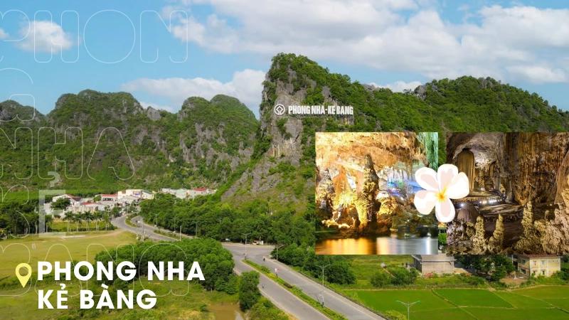 Hệ thống thạch nhũ lấp lánh bên trong động phong nha kẻ bàng