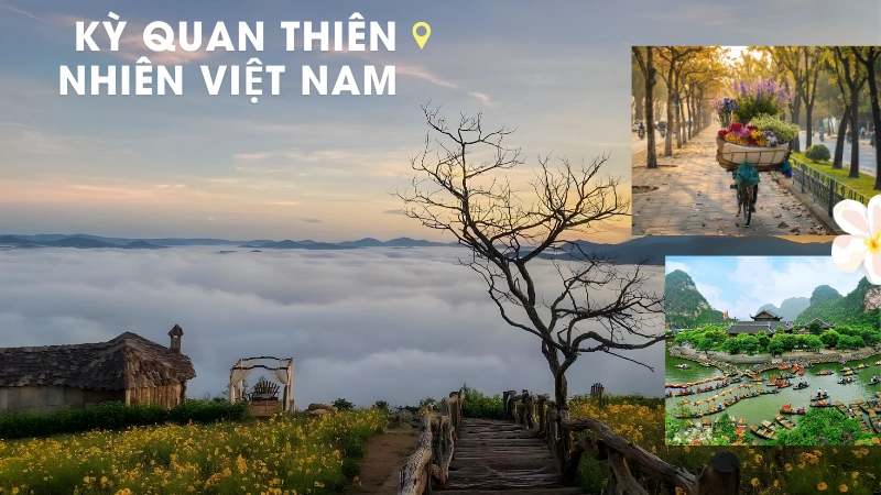 Vẻ đẹp thơ mộng của cảnh sắc thiên nhiên việt nam vào mùa thu