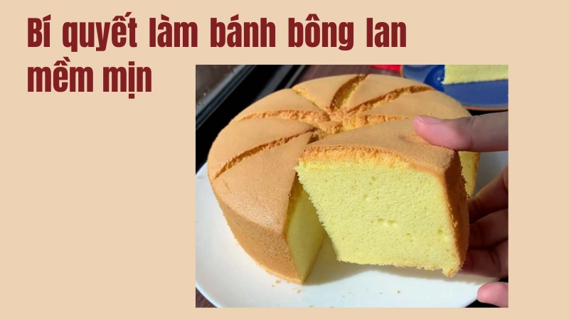  Bánh bông lan mềm mịn và công thức làm bất bại tại nhà 