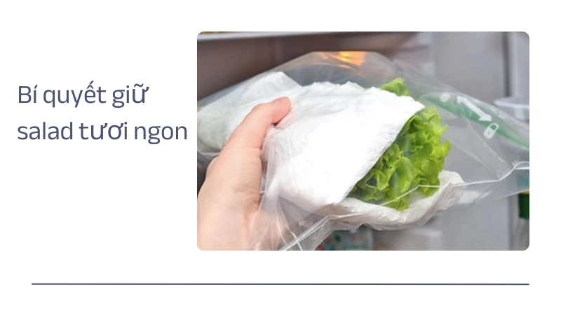  Bí quyết bảo quản salad tươi ngon lâu chỉ với vài bước đơn giản 