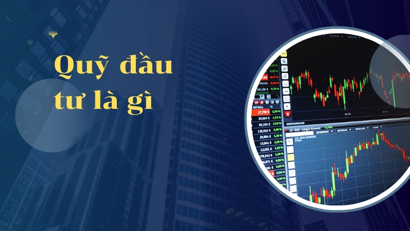  Hiểu đúng về quỹ đầu tư để tránh rủi ro mất tiền oan vốn! 