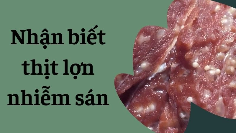  Hướng dẫn nhận biết thịt lợn nhiễm sán siêu nhanh gọn 