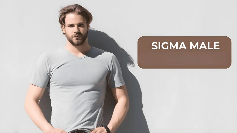 So sánh thú vị giữa Sigma nam và Alpha nam