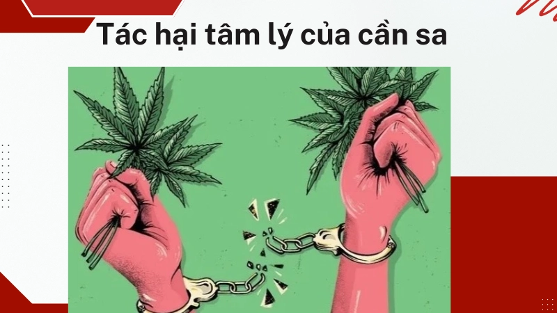 Tác hại của cần sa không phải ai cũng biết về tâm lý