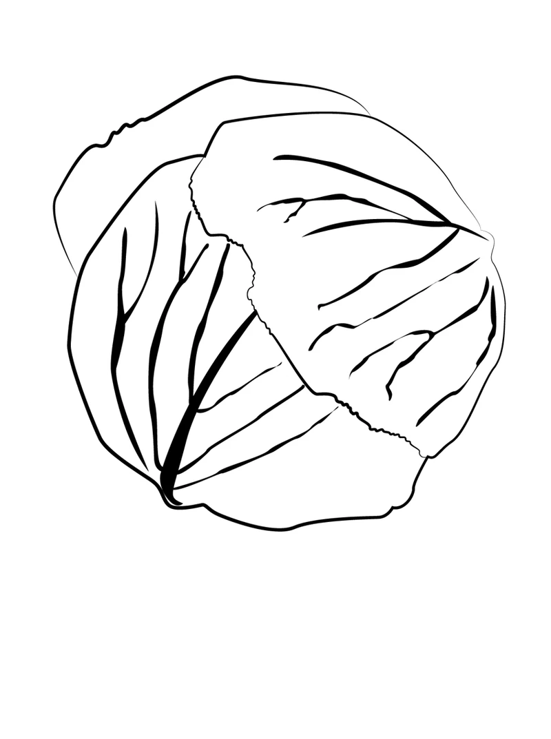 Bộ tranh tô màu cây bắp cải chibi ngộ nghĩnh dành cho bé