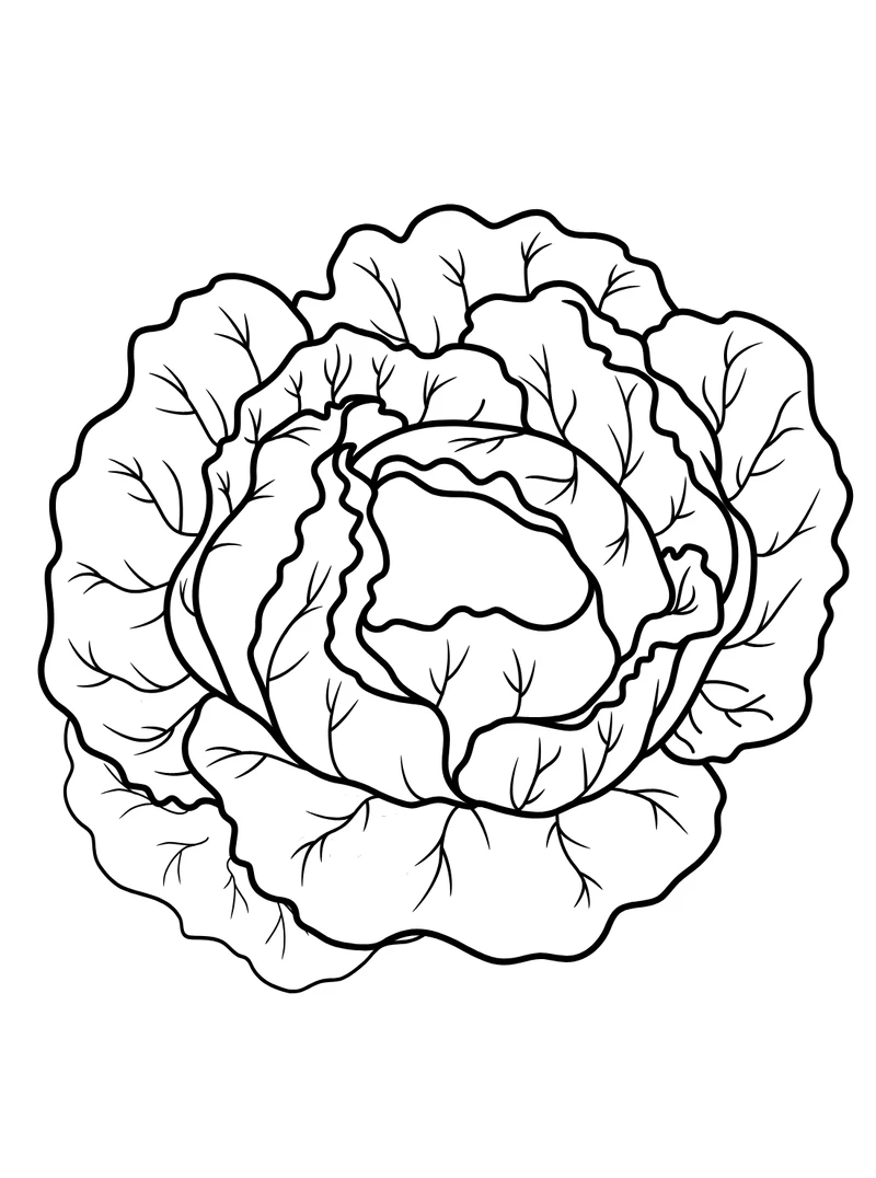 Bé thích mê bộ tranh tô màu cây bắp cải cute cực đáng yêu