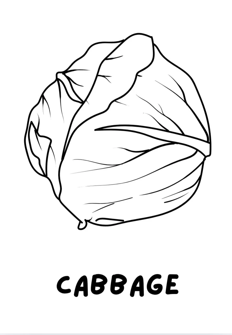 Bé thích thú với tranh tô màu cây bắp cải đơn giản cho bé