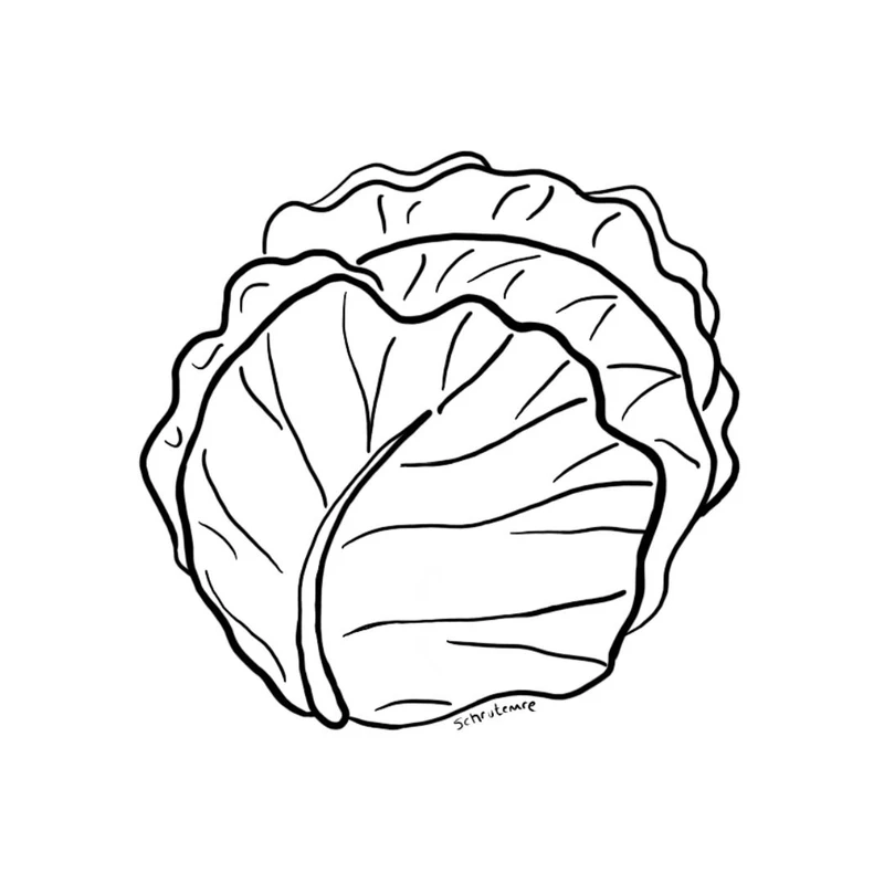 Tổng hợp tranh tô màu cây bắp cải đẹp dành cho bé