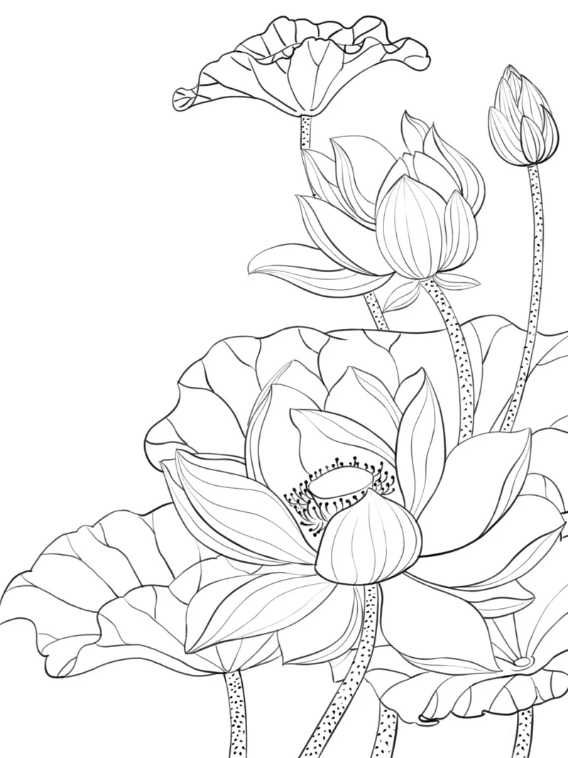 Tuyển chọn tranh tô màu hoa sen dễ tô cho bé mới học vẽ