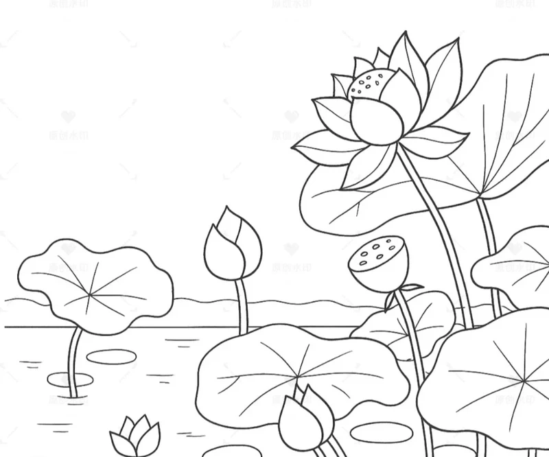  Tuyển chọn ảnh tranh tô màu hoa sen đẹp nhẹ nhàng cho bé 
