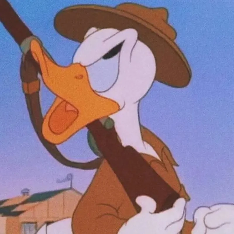 Loạt vịt donald meme phổ biến ai dùng mạng xã hội cũng từng thấy