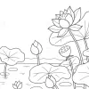 Tuyển chọn ảnh tranh tô màu hoa sen đẹp nhẹ nhàng cho bé