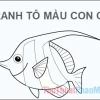 Khám phá thế giới dưới nước với Tranh Tô Màu Con Cá