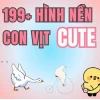 Meme Vịt Vàng: Khám Phá Sự Bùng Nổ Của Biểu Tượng "Vô Tri" Năm 2026