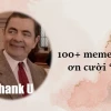 Tổng Hợp 110+ Meme Cảm Ơn Cute và Hài Hước Nhất 2026