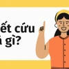 Tổng hợp 1544+ Meme Hết Cứu: Biểu Cảm "Bó Tay" Độc Đáo 2026
